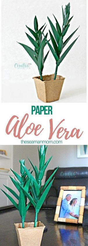 diy aloe vera paper plant