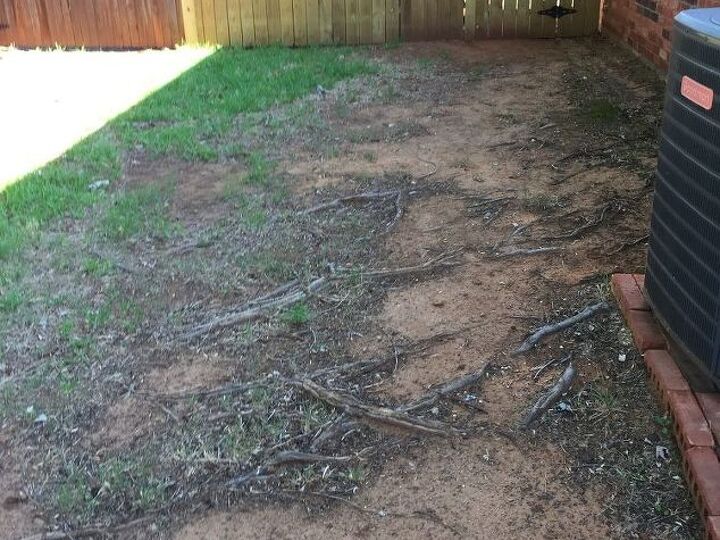 q create a walkway over my neighbor s tree roots