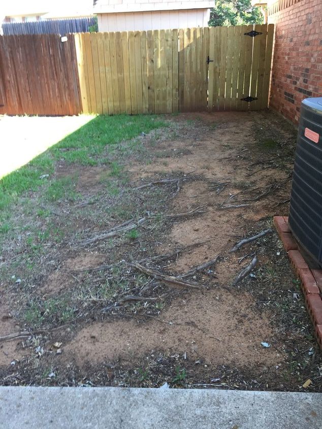 q create a walkway over my neighbor s tree roots