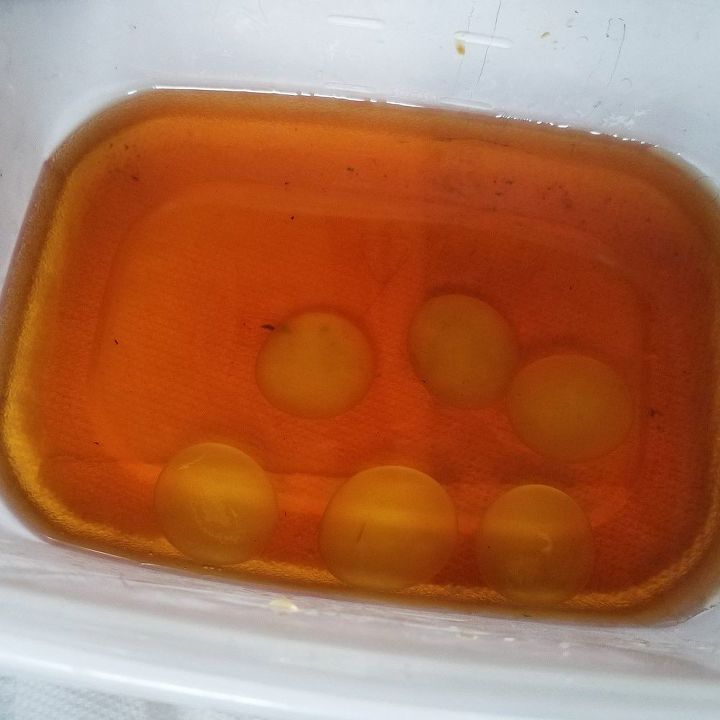 easy colorful plant markers