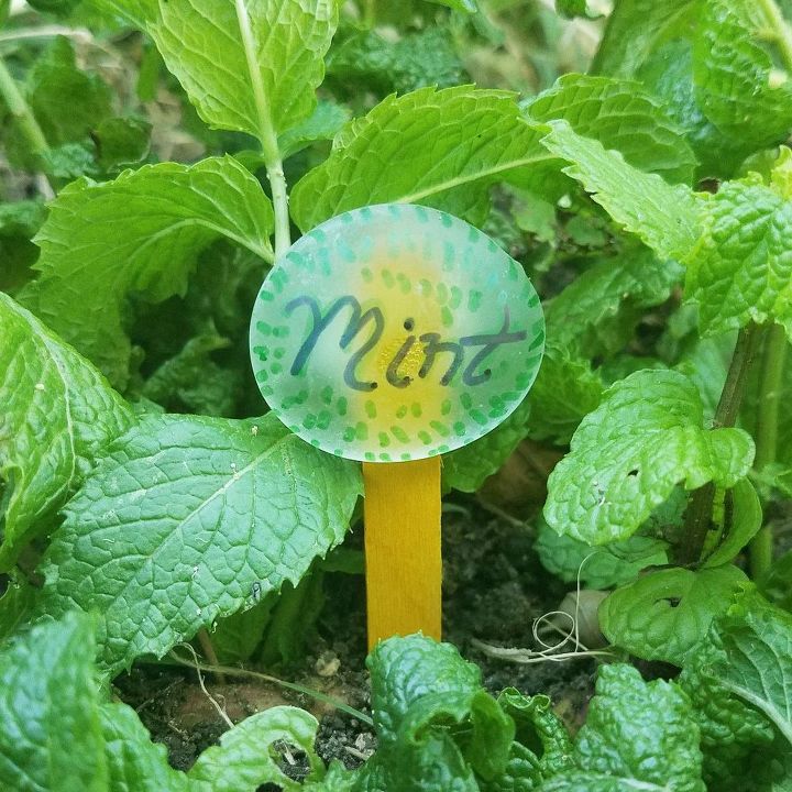 easy colorful plant markers