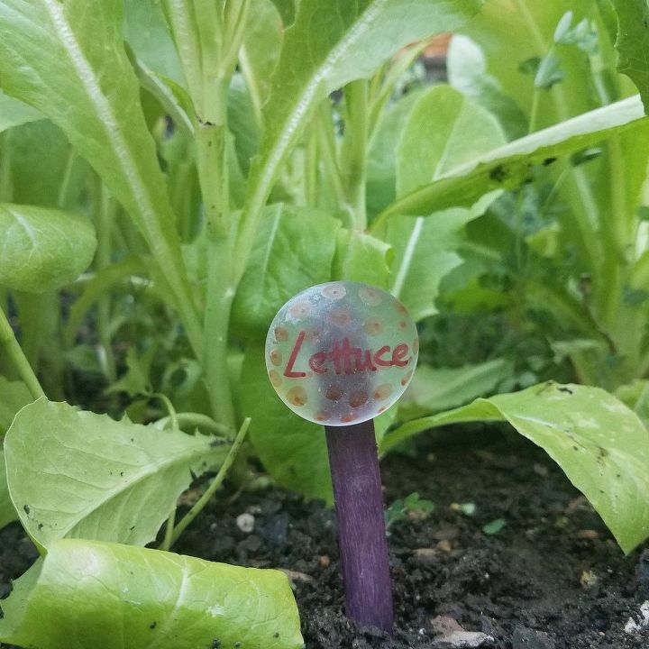 marcadores de plantas fceis e coloridos
