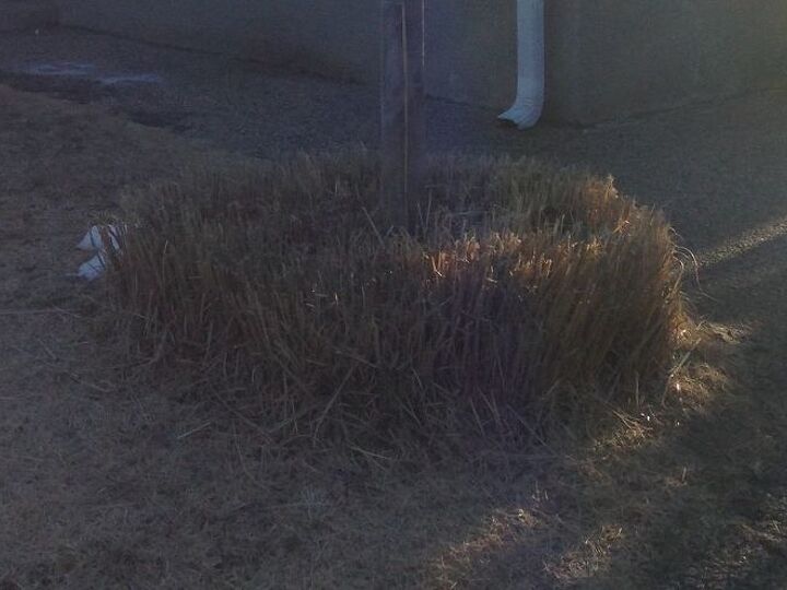 q does anyone know how i can get rid of this or put flowers
