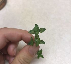 can anyone tell me whats wrong with my thyme plant