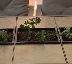 herb garden in patio table