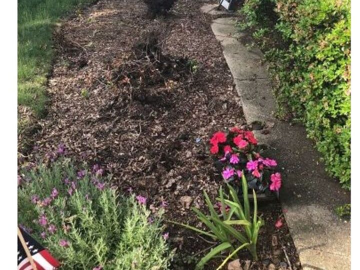 q beautifying front yadd