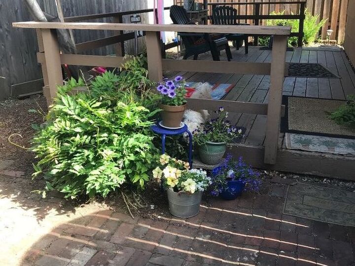 q need help creating pet sitting side yard
