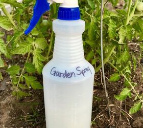 all natural garden spray for aphids