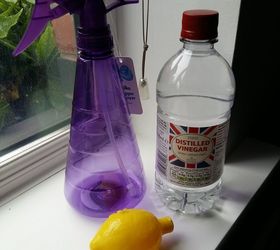 Spray limpiacristales casero de 3 ingredientes