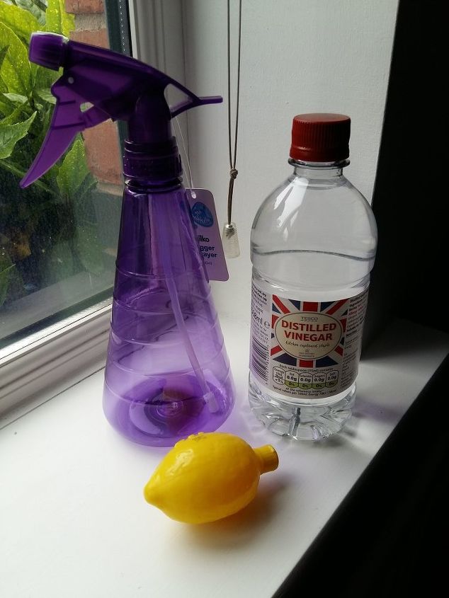 3 ingredient homemade window cleaning spray