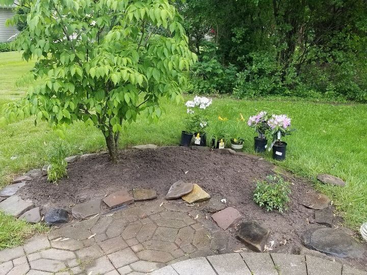q need some advice see pics