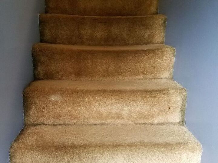q should we use rug or wood treads for the stairway inside