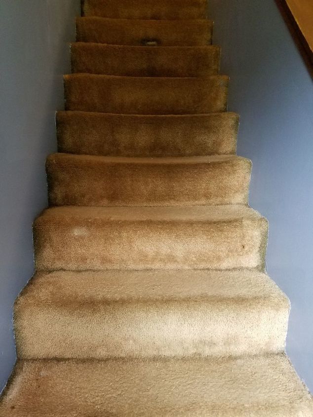 q should we use rug or wood treads for the stairway inside
