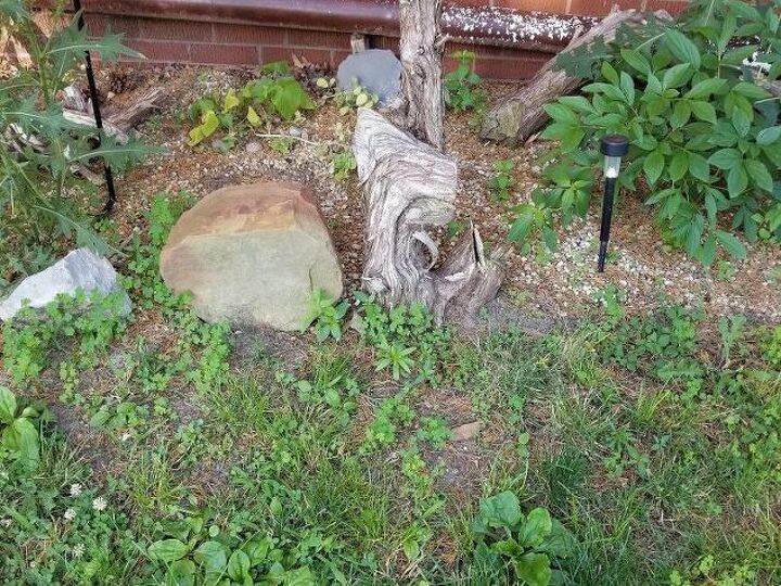 q how to remove small to shrub trunks with only a shovel and elbow greas