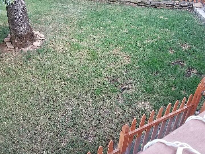 q grass on a slope