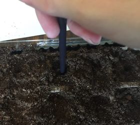 Cómo iniciar las semillas en el interior