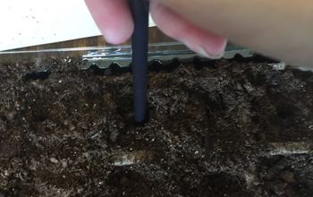 Cómo iniciar las semillas en el interior