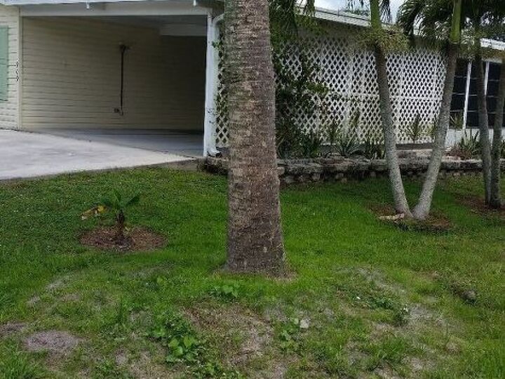 q i want to do landscaping around this tree no clue how to do it help