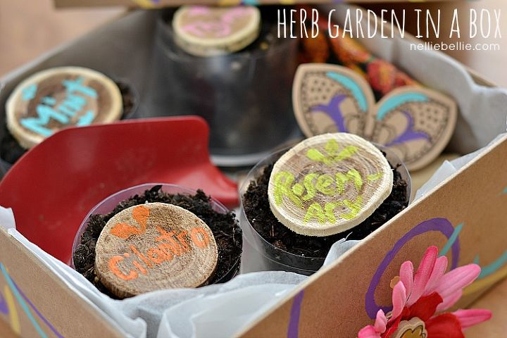 s 16 ways to showcase your herb garden, Good Things Come in Small Packages