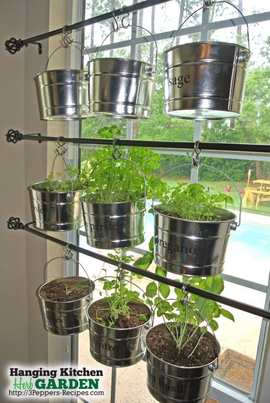 s 16 ways to showcase your herb garden, Hanging Kitchen Display