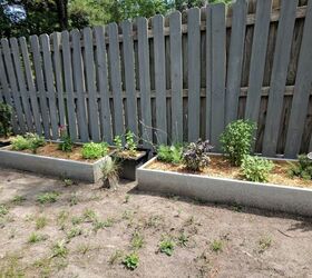 s 16 ways to showcase your herb garden, Budget Friendly Raised Beds
