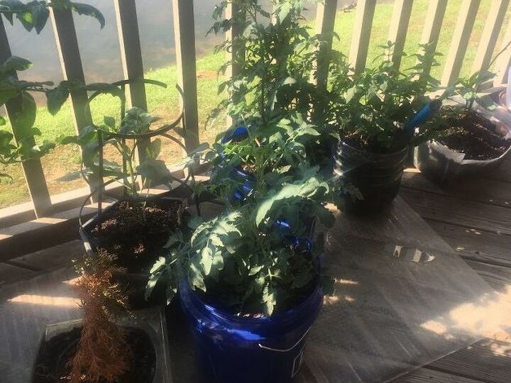 q i am growing my vegetables on my deck would like to the buckets