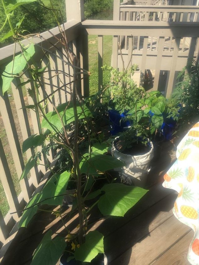 q i am growing my vegetables on my deck would like to the buckets