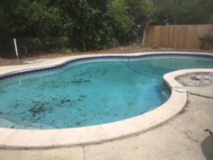 q backyard florida advise