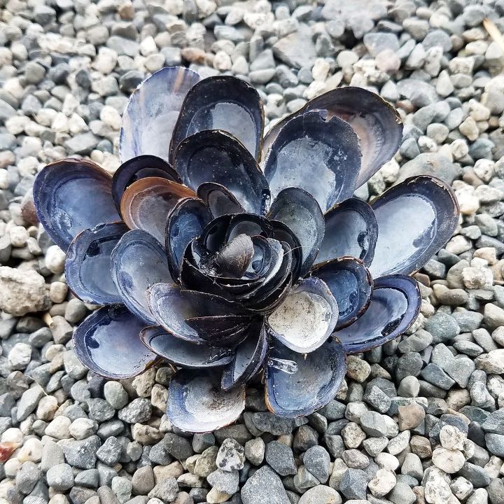 arte de praia flores de conchas