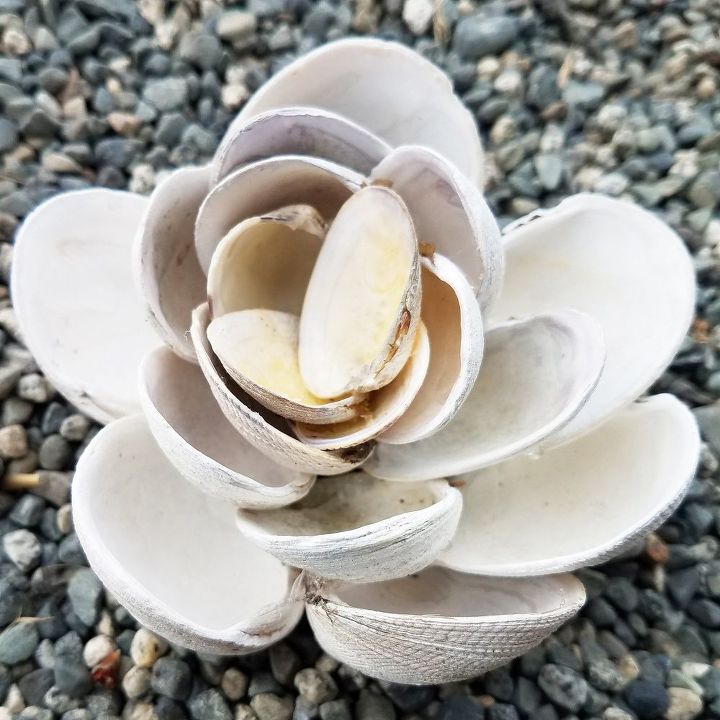 arte en la playa flores de conchas marinas