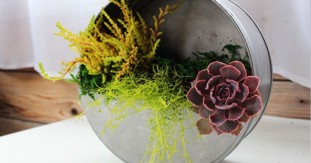 DIY Faux Galvanized Wall Planter Hometalk DIY Faux Galvanized Wall Planter Hometalk