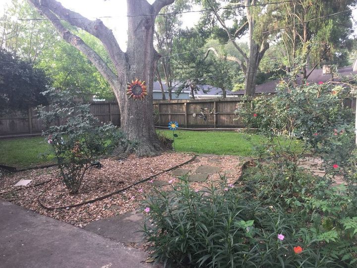 q help with my backyard