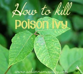 s 15 genius hacks to keep pests away while you camp, Naturally Kill Poison Ivy