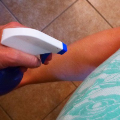 15 trucos geniales para mantener alejadas las plagas, Spray natural para mosquitos