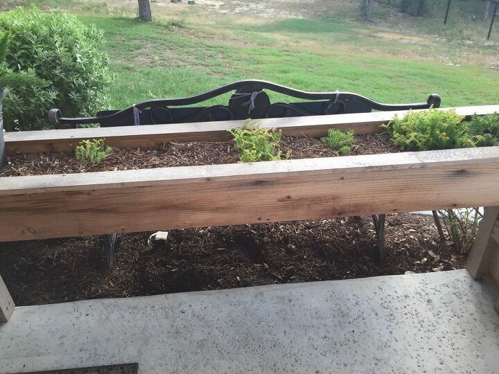 q what can i plant in this box