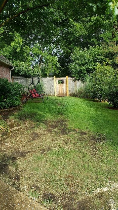 q suggestions for inexpensive walkways and patio in sideyard