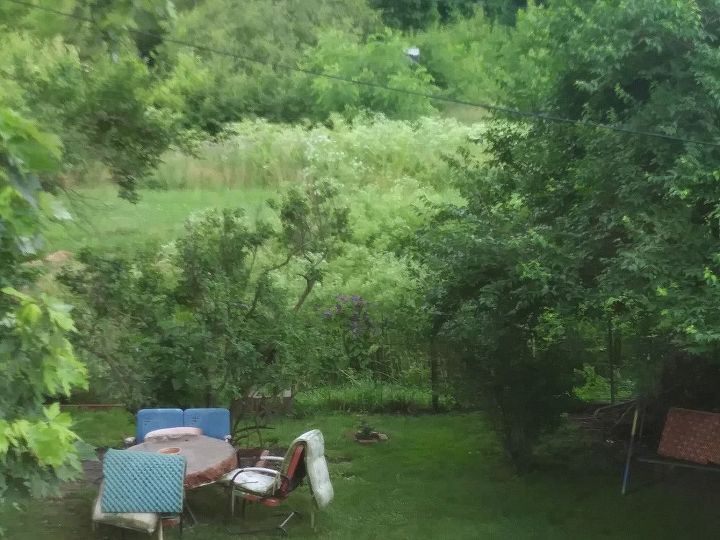 q what would be an inexpensive way to add some privacy to this backyard