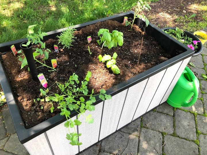 veggie gardening made easy