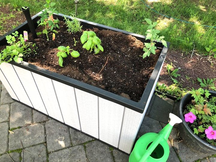 veggie gardening made easy