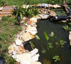 q what s the best way or product to use to clean and keep pond algae
