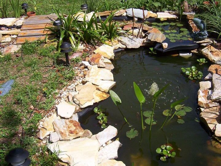 q what s the best way or product to use to clean and keep pond algae