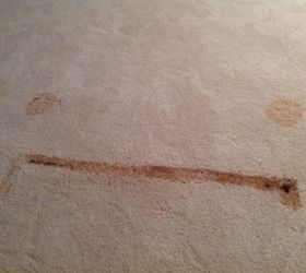 q help with stain on carpet