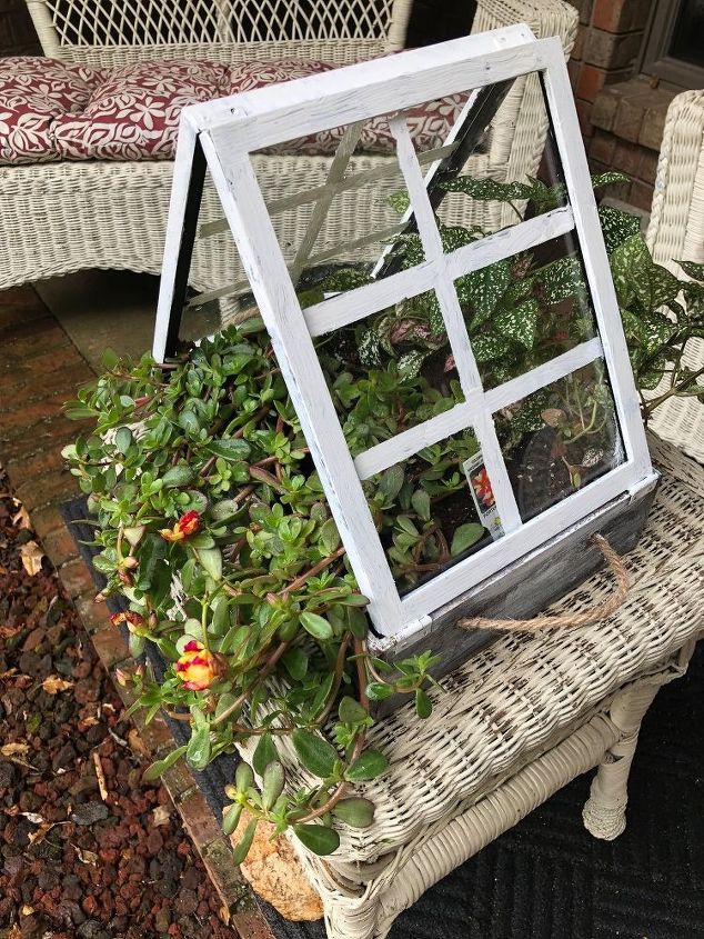 micro mini greenhouse planter