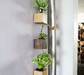 cute fridge succulent planters