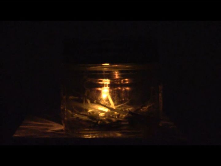vaga lume em uma jarra