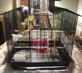 slide out tray idea needed for bird cage