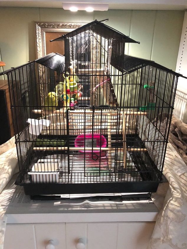 slide out tray idea needed for bird cage