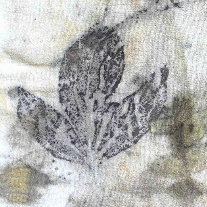 eco printing on cotton impresin ecolgica en algodn