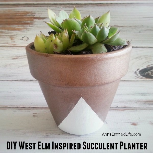 easy west elm inspired succulent planter