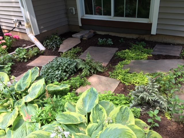 under deck garden